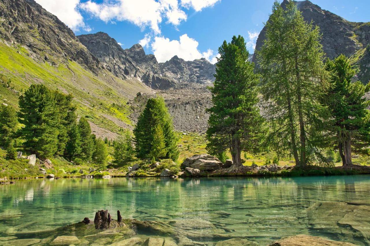 Alpinhotel Monte Superior - Silvretta Card Premium Betrieb Гальтюр Екстер'єр фото